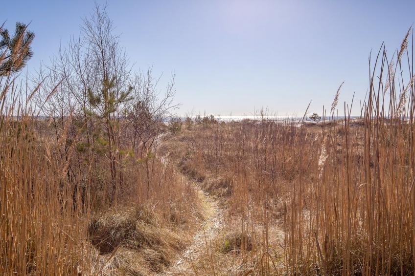 "Lucio" - 25m from the sea in Bornholm - foto 6