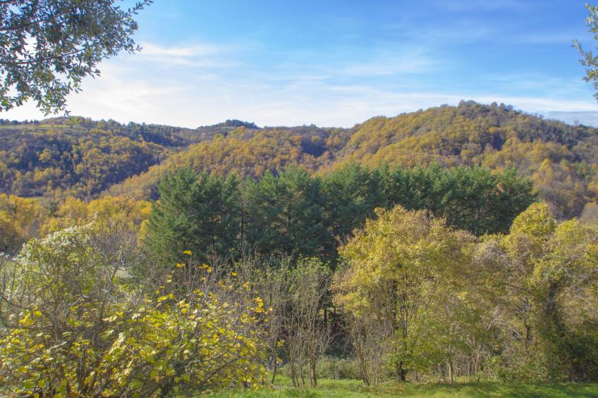 Il Frassino del Borgo di Ghiora - foto 29