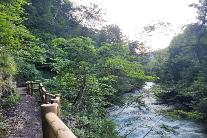 Residence Cybèle - foto 33