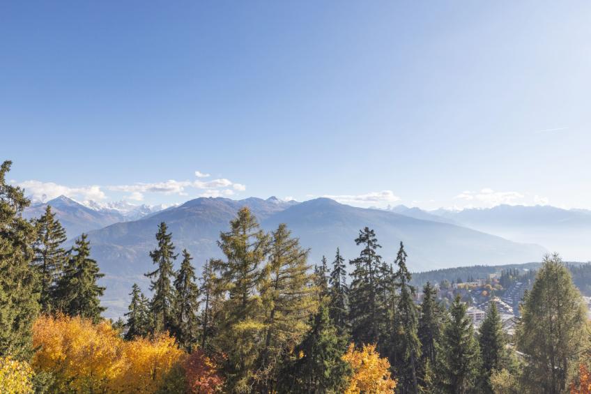 Vermala-Soleil A/B - foto 33