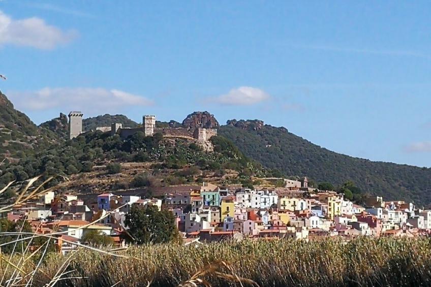 271365 - foto 34
