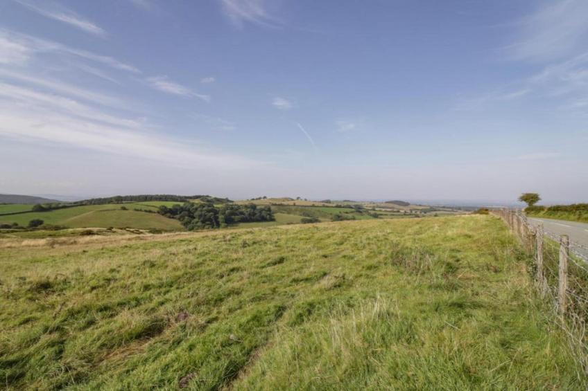 Netley Hall - Rose - foto 22