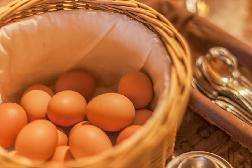 Pension Blaiken L - foto 26