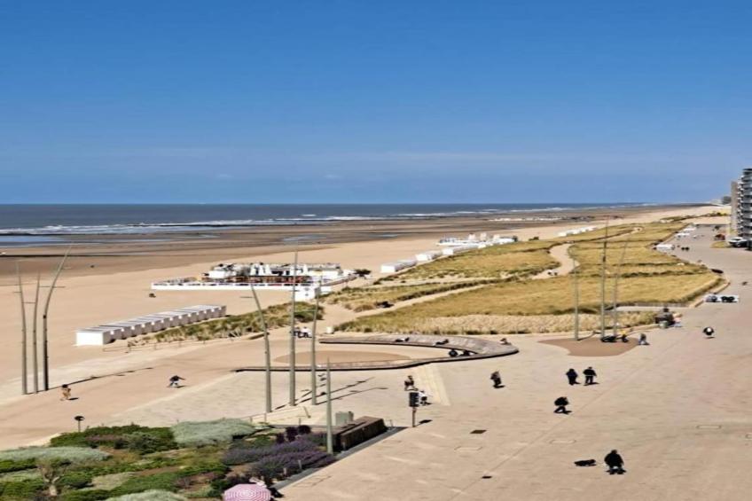 BRUYERES / 1 - foto 38