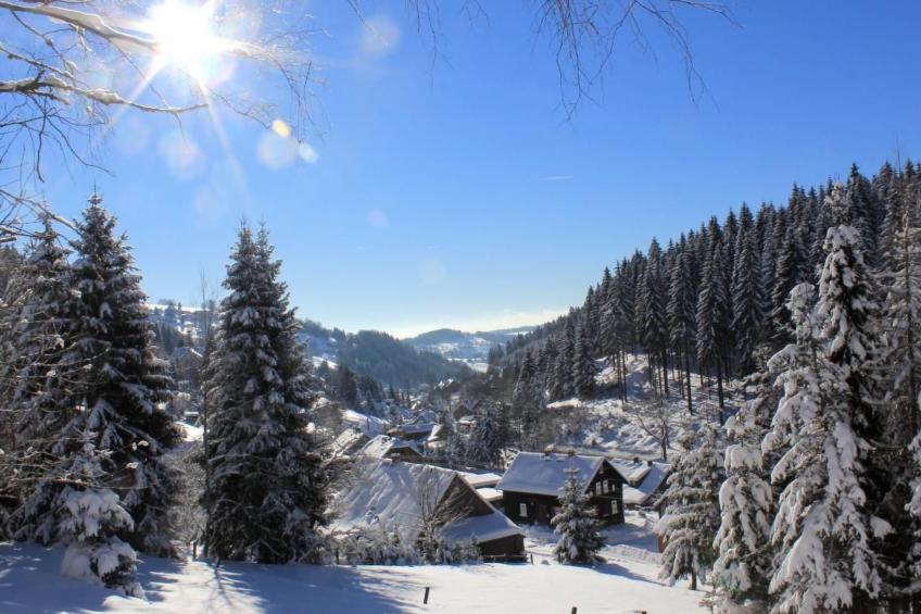 FW Steindöbra - foto 13