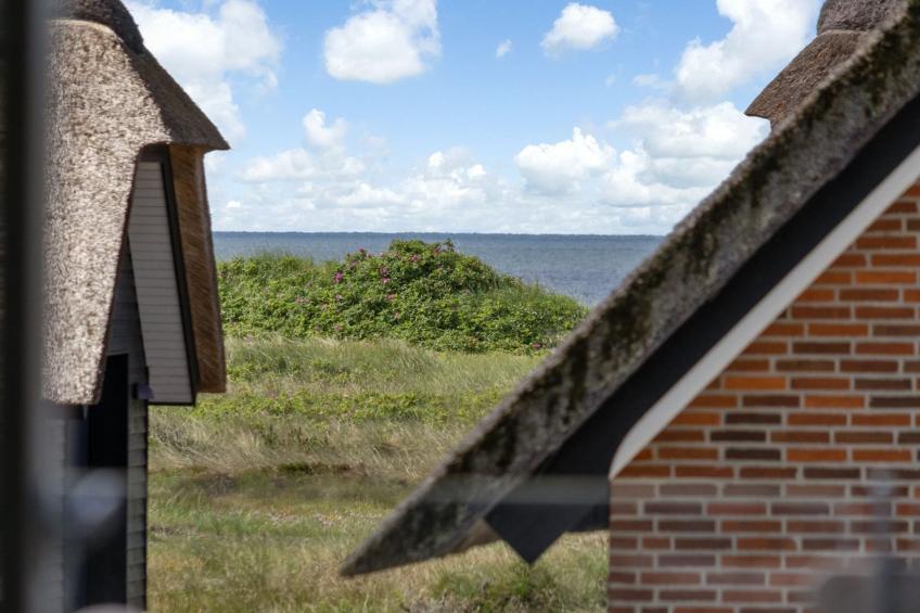 "Svende" - 100m from the sea in Western Jutland - foto 20