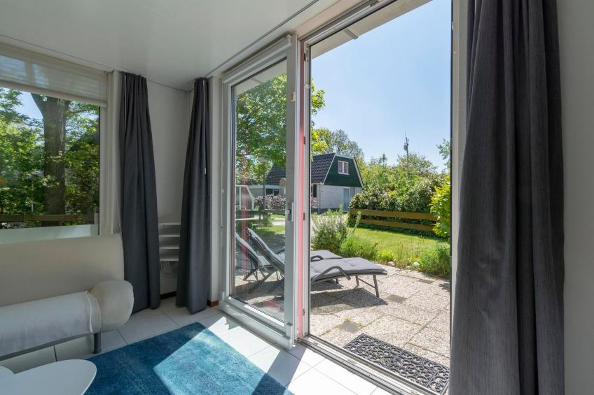 Campanula 52 - foto 15