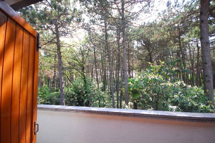 Appartement de vacances avec terrasse et jardin - BF-NRDBX - foto 4