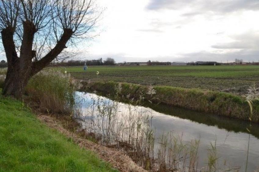 Windekind mit Blick auf die Felder - foto 34