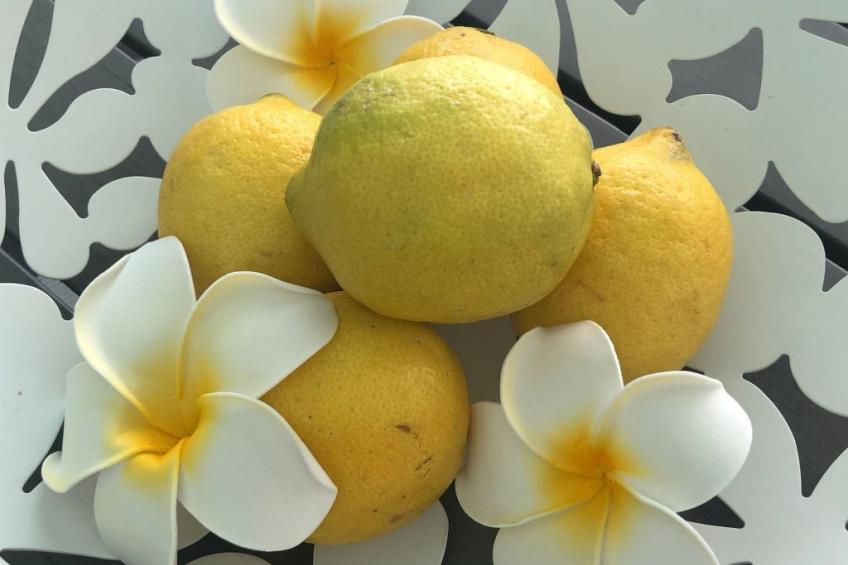 in Caloosahatchee mit Großer Terrasse - foto 25