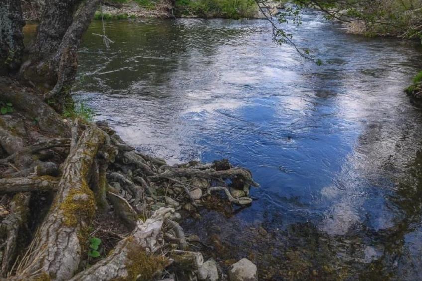 Rural House in the mountain of León - foto 31