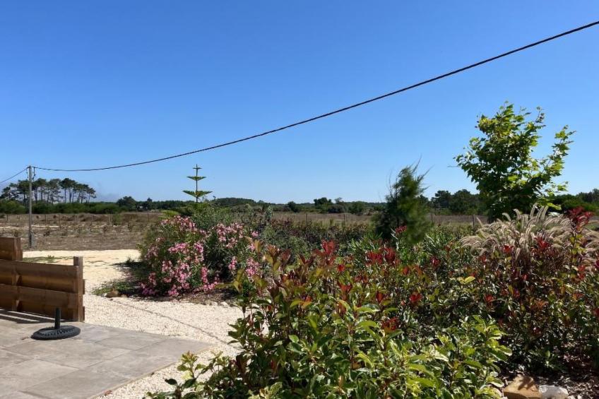 auf dem Lande in der Nähe des Strandes - foto 17