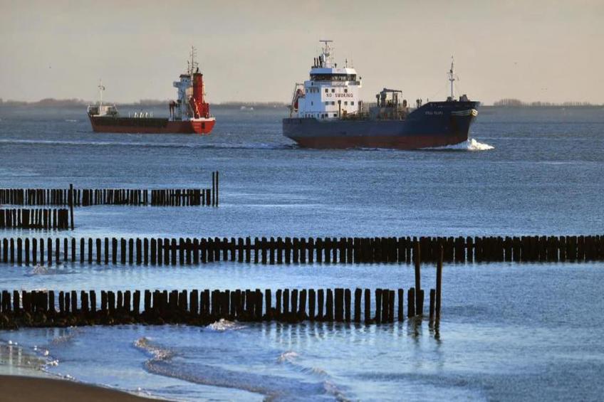 Slaapstrandhuisje - Strand dishoek 68  Dishoek - foto 31