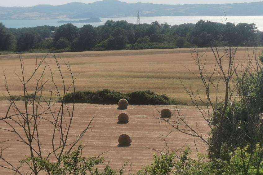 DOMUS NIRALE - foto 32