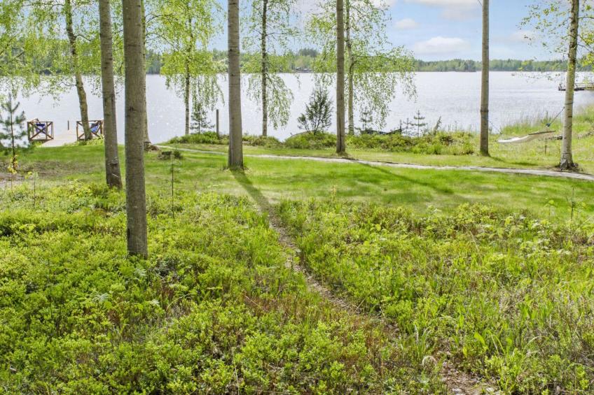 Rääkkylä honkaniemi - foto 23