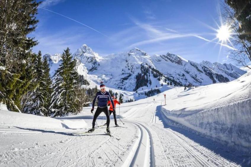 AlpResort Portes du Soleil - foto 27