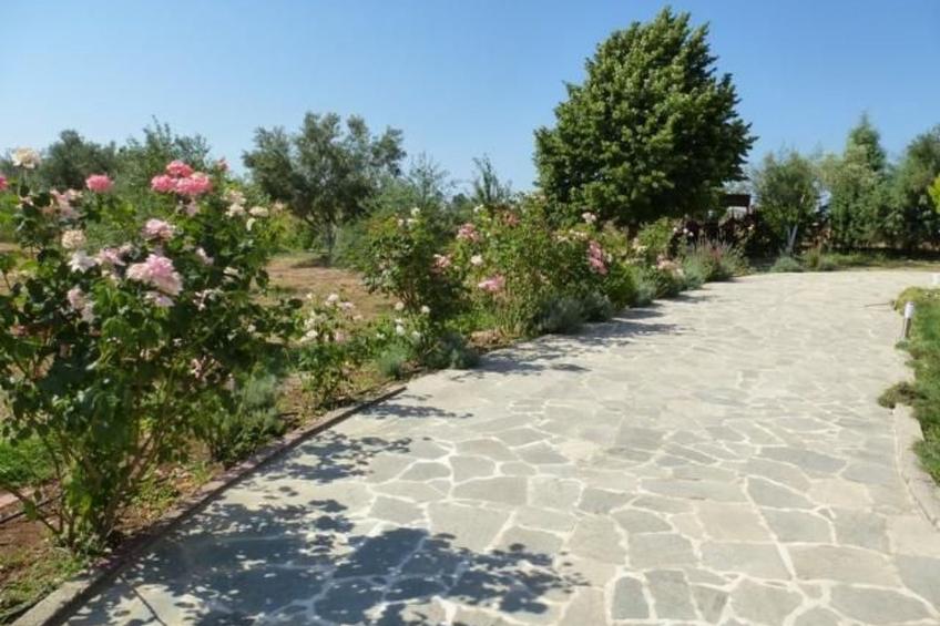 Gemütliches Ferienhaus auf umzäunten Grundstück - foto 19