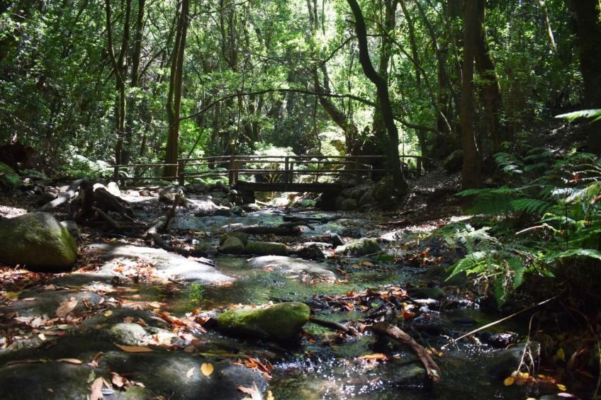 Freistehendes Ferienhaus La Maleza in La Palmita - foto 39