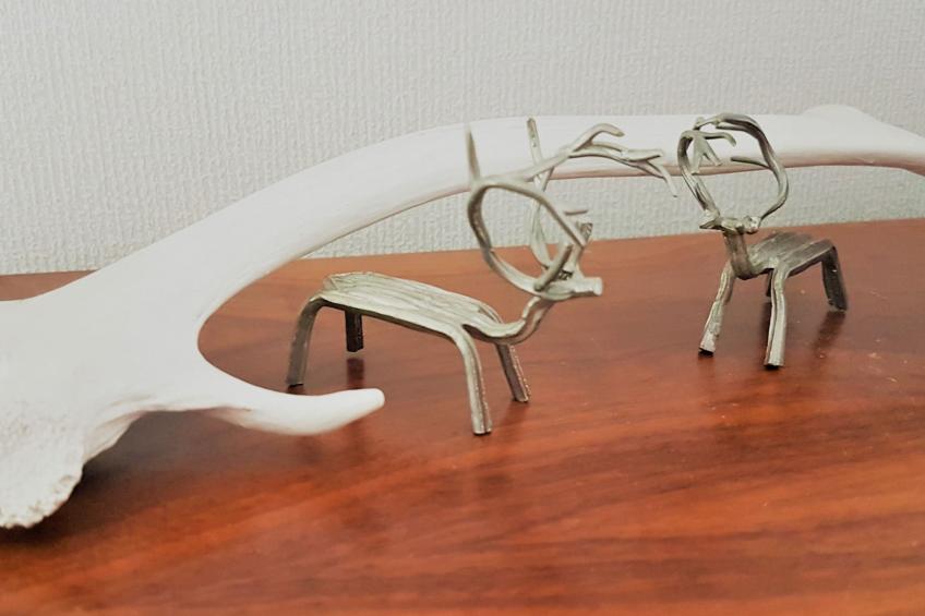 Haus-Lappland - foto 11