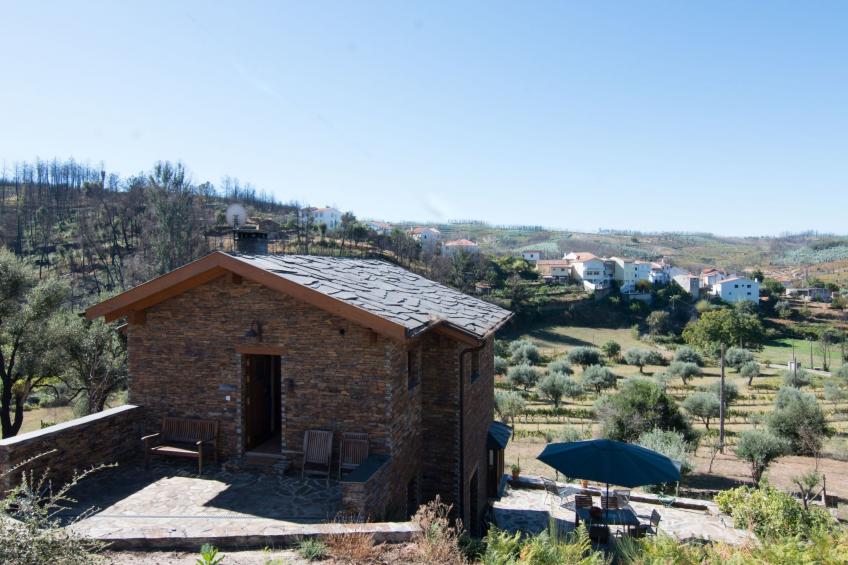 mit Sonnenterrasse und großem Garten - foto 3