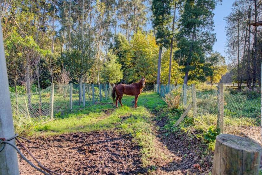 Maison du Moulin in Bauernhof - foto 45