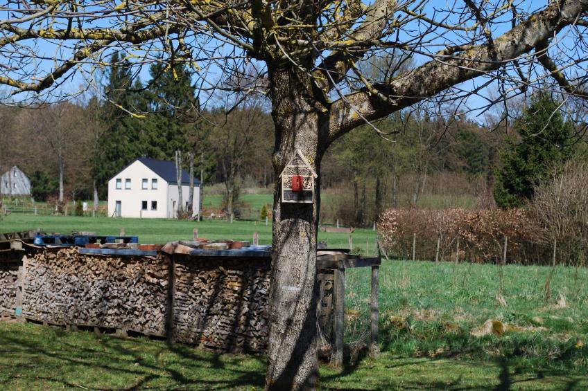 Gite de Haute Bosfagne - foto 35