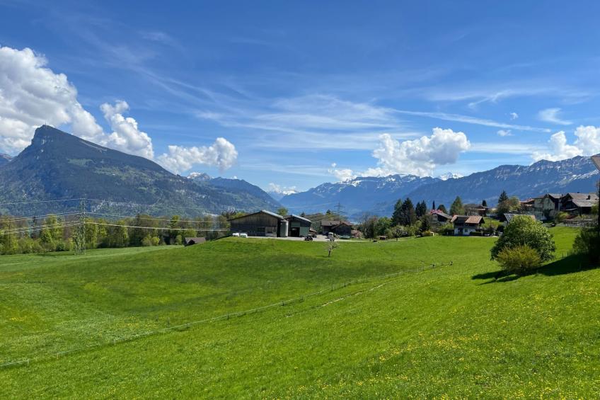 Pfrundmatte 12 - foto 18