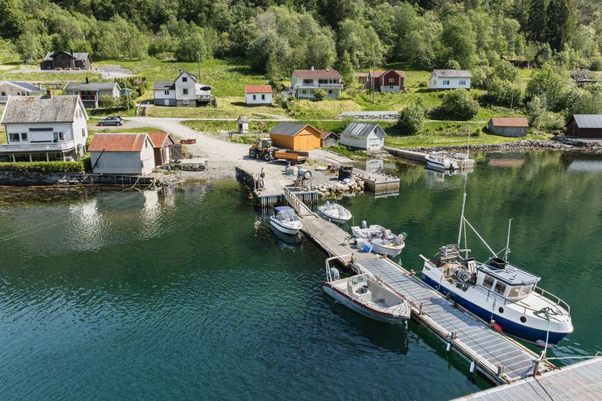 Indresfjord (FJS615) - foto 36