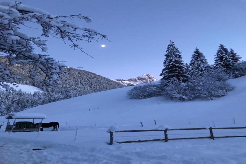 Super private Luxury Chalet with Hotel facilities - foto 40