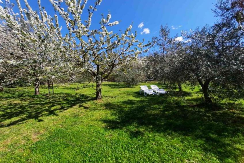 House in Nature - foto 9