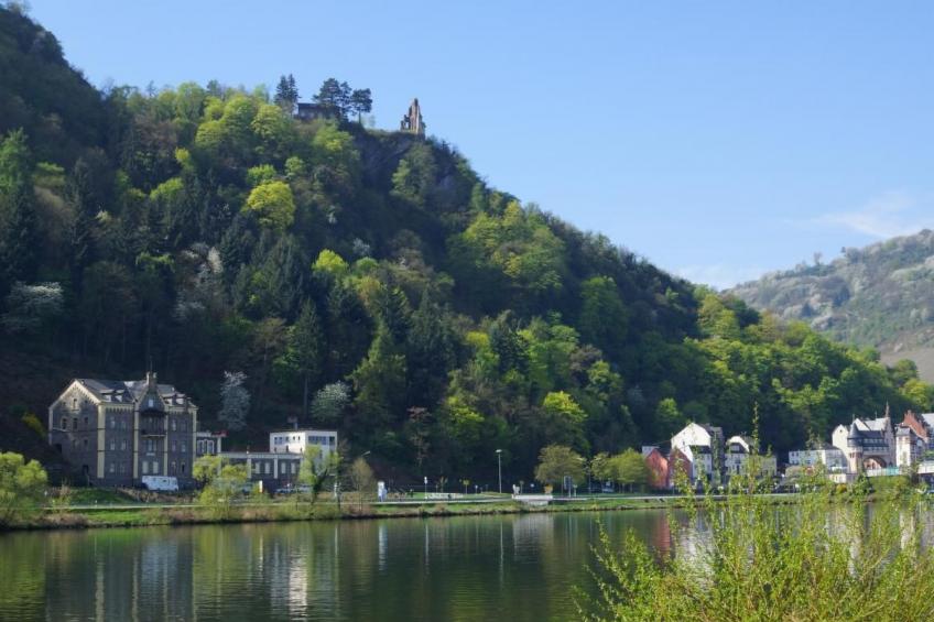 Moseljuwel-Traumferien Ferienwohnung - foto 24