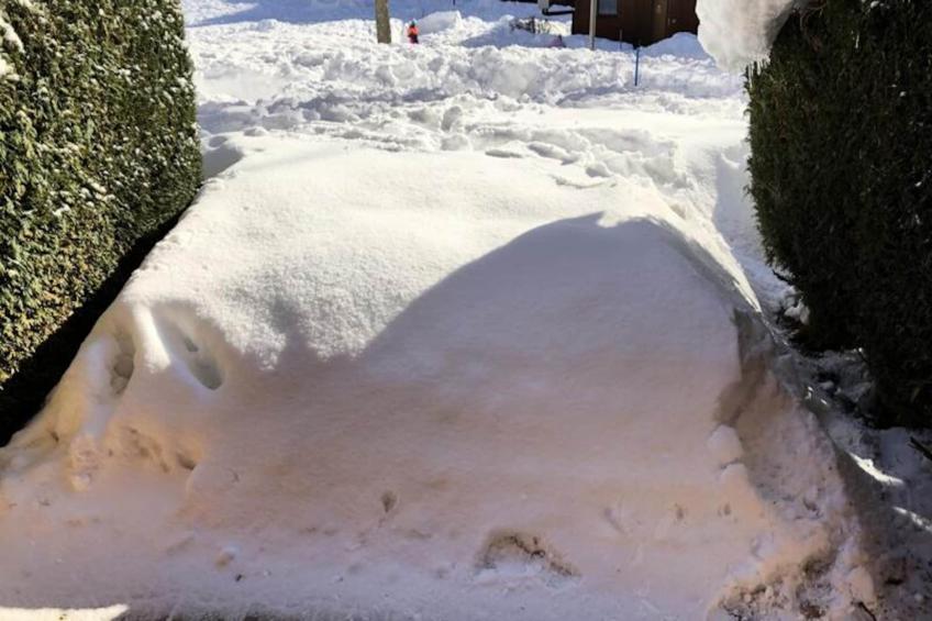 Résidence Borgia - foto 18