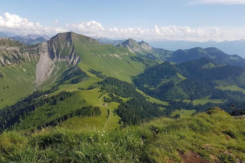 Maiensäss Romantica - foto 13