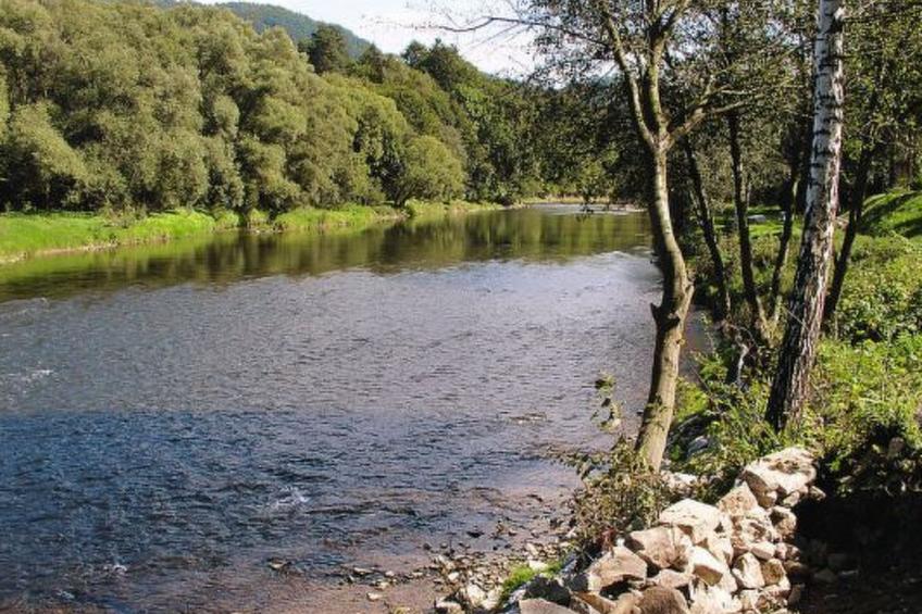 Berghütte mit Sauna - foto 9