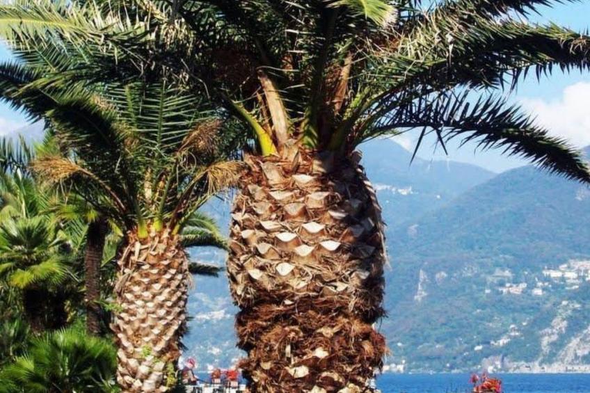 mit Gemeinschaftspool - foto 16