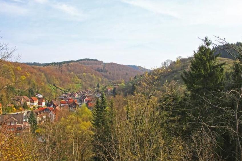 Gemütliche Ferienwohnung in Lerbach - foto 15