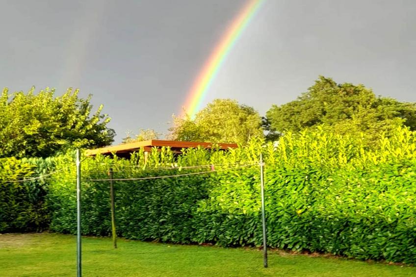 Sommerresidenz - foto 3