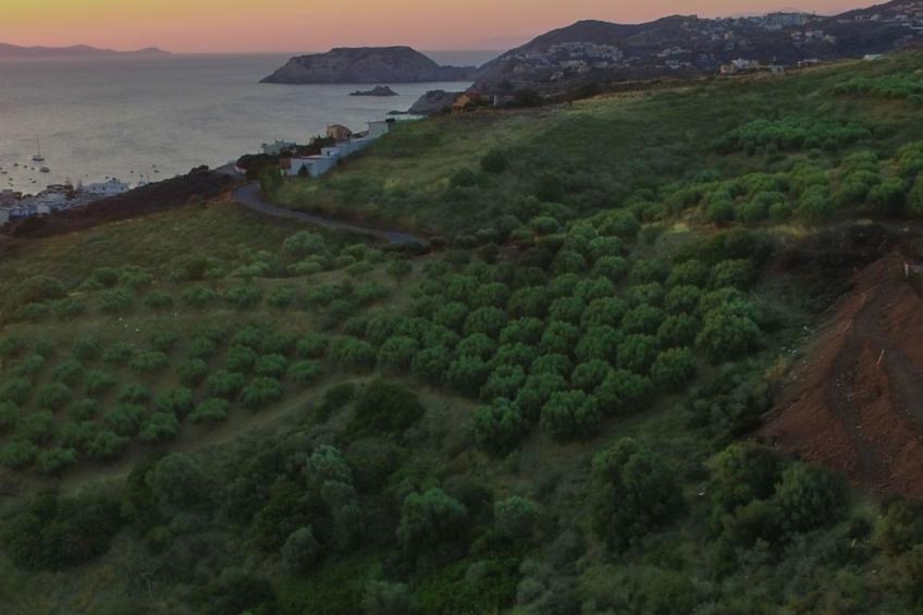 "Villa Kallia" mit Infinity-Pool - foto 36