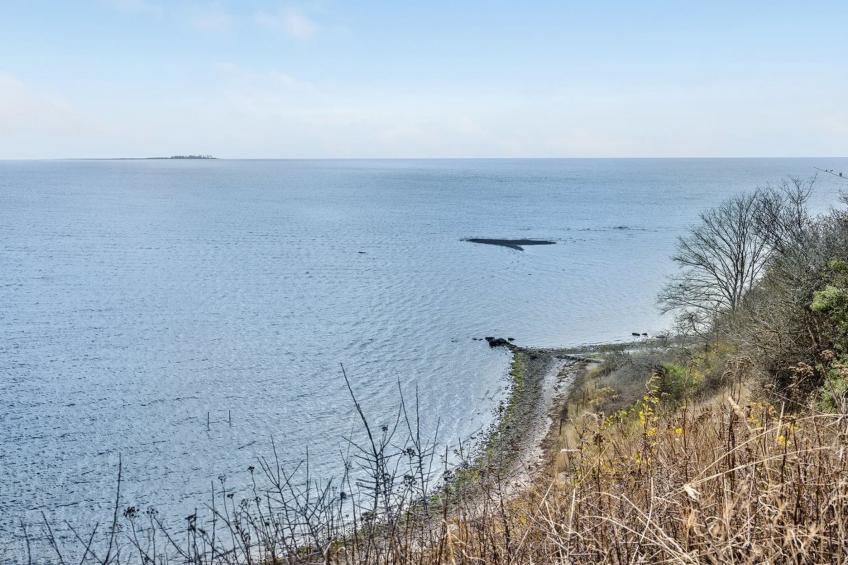 "Bosilka" in Sealand - foto 24