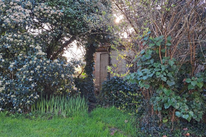 Der Pavillon - im Park des Schlosses Lescaut - foto 36