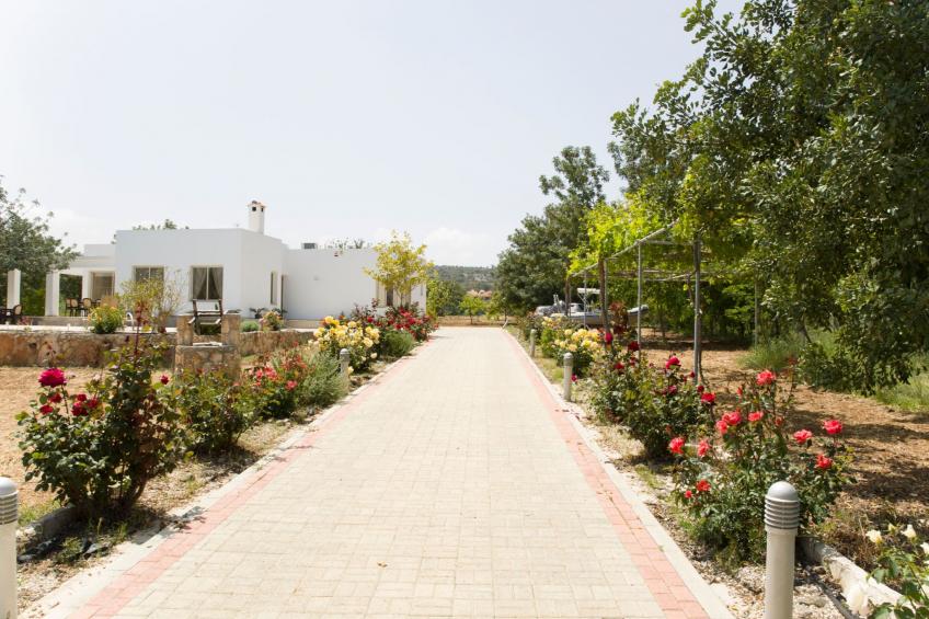 mit Privatpool für 8 Personen ca. 220 m² in Neo Chorio, Halbinsel Akamas - foto 3