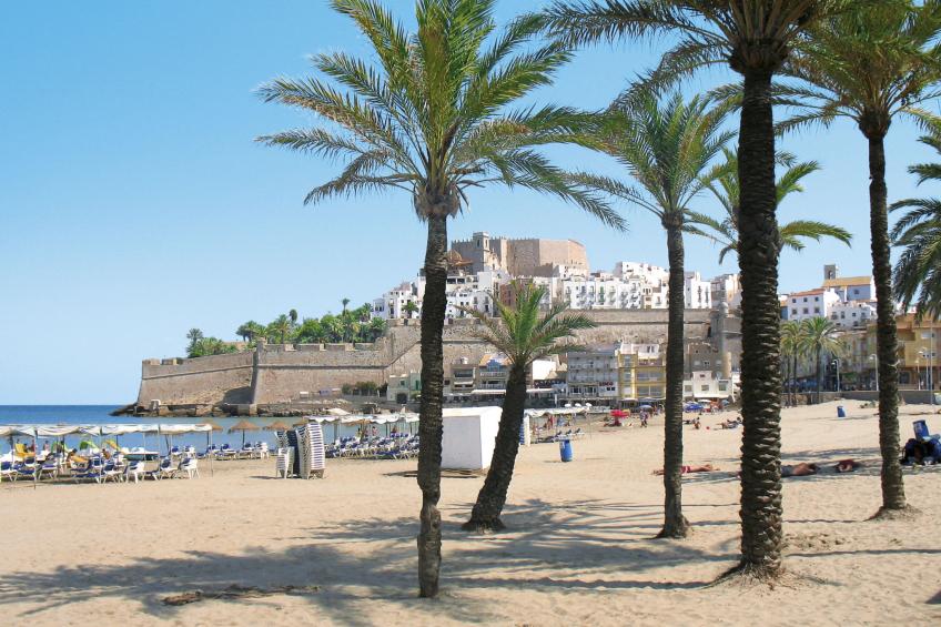 Finca Villa Roig - foto 34