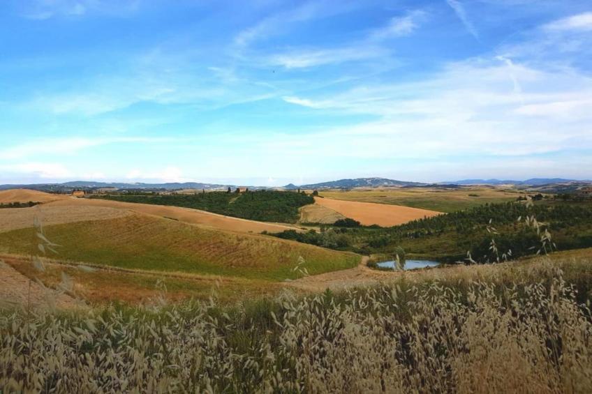 Villa Celli - foto 32