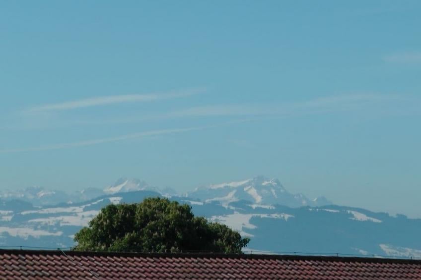 207257 - foto 3