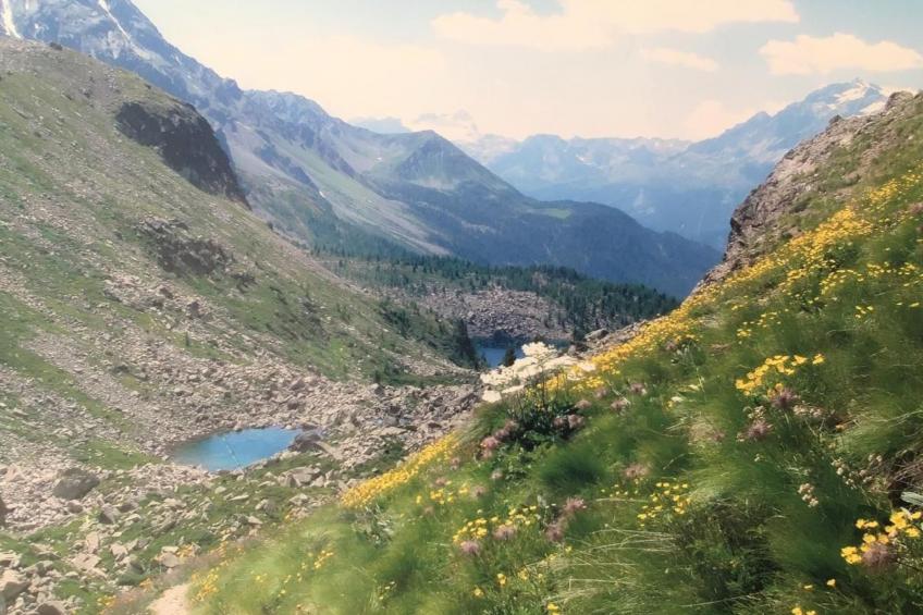 Wohnung mit Bergblick - foto 30