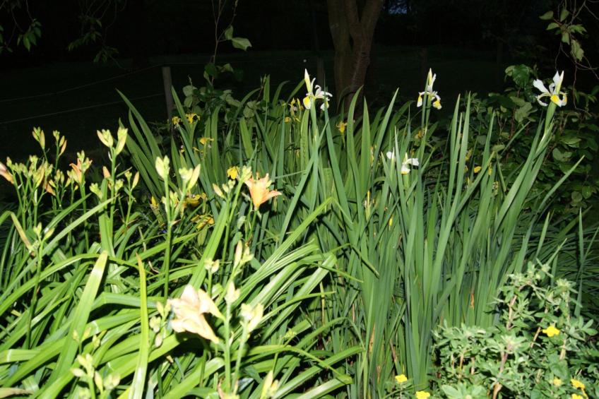 Charmante normannische Ferienwohnung Les chataigniers 2 Zimmer - foto 23