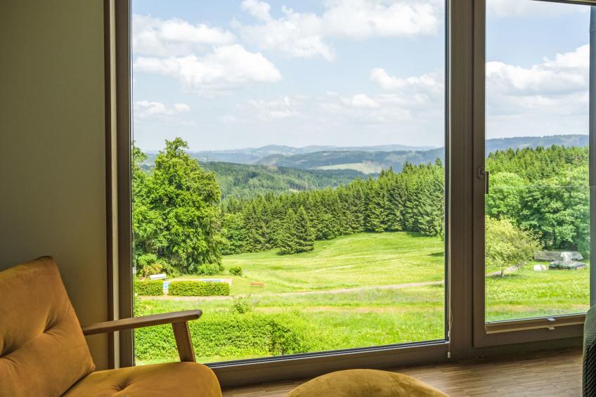 de luxe H751 mit Panoramasauna - foto 2