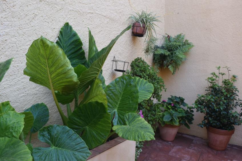 Fachwerkhaus "Casa Entera". - foto 47