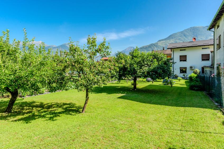 Casa Delma - foto 24