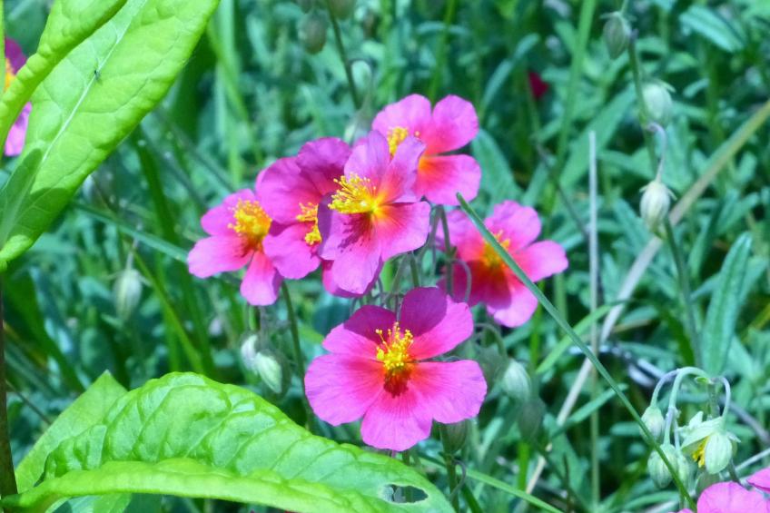 ApartmentmitAusblick - foto 23